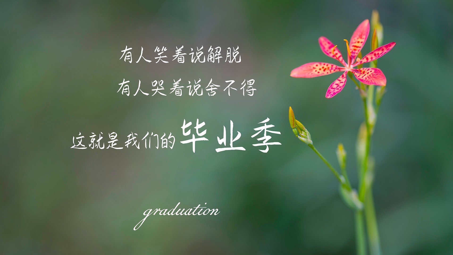 阿尔梅利亚主场胜利，赢得球迷欢心，阿尔梅利亚vs西班牙人