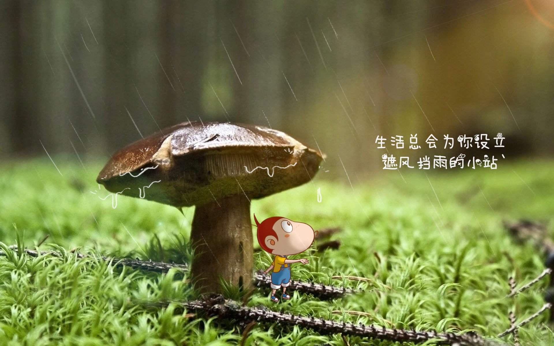 勒沃库森传控节奏把握日益成熟，勒沃库森比赛视频聚胜顽球汇
