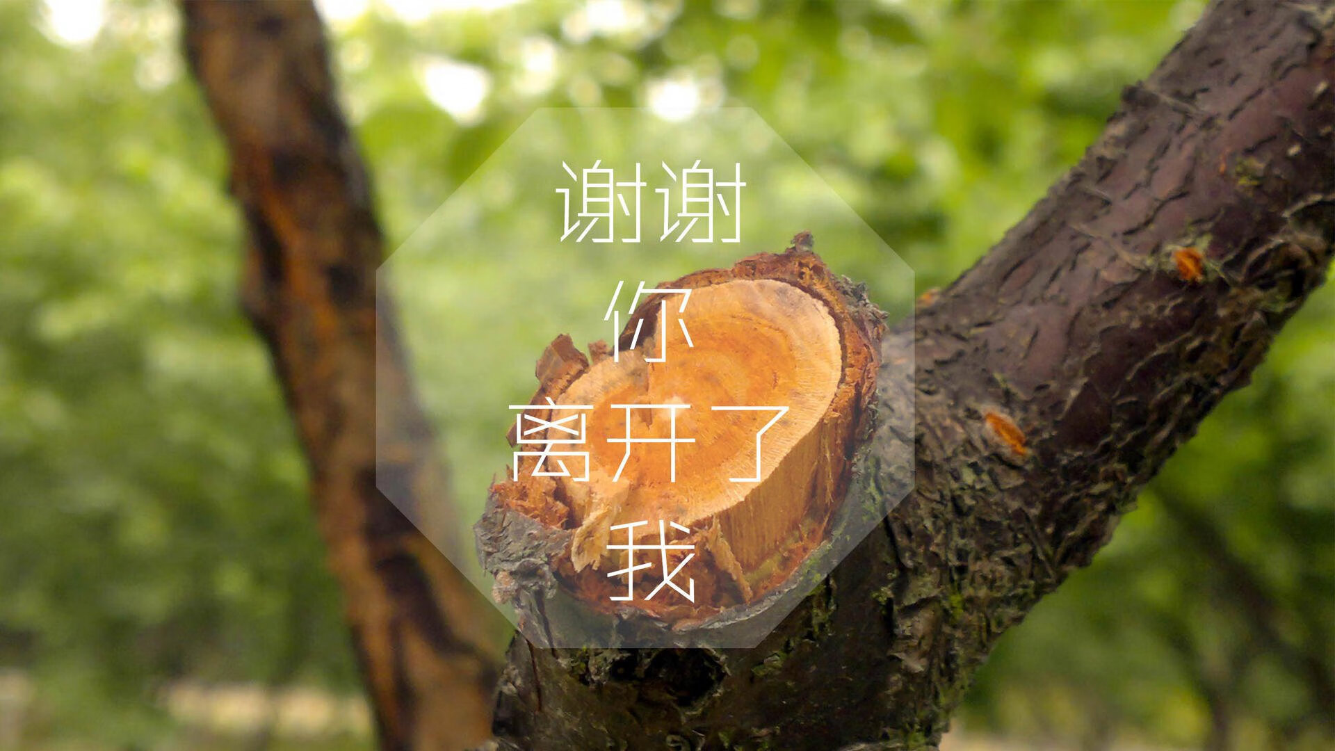 本土球员技术类型同质化严重