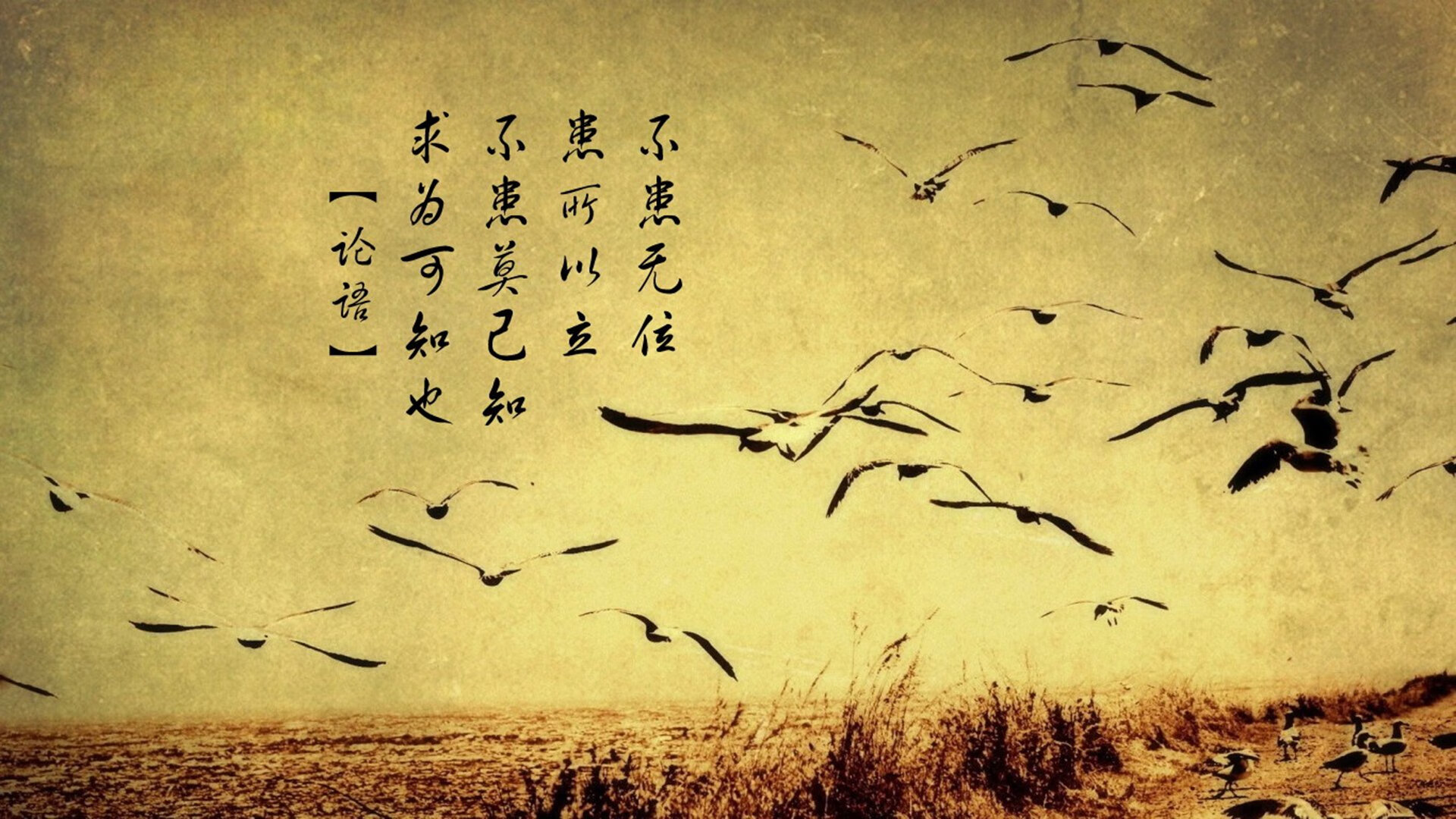 球队应急补强后表现提升是否与战术体系契合，应急补给是什么肉