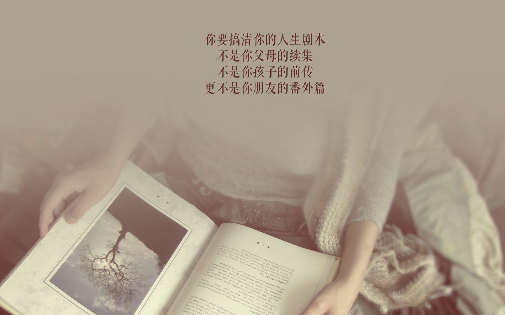 “安赫尔·巴尔博萨的力量与敏捷结合，成为美洲狮队的进攻突破点”