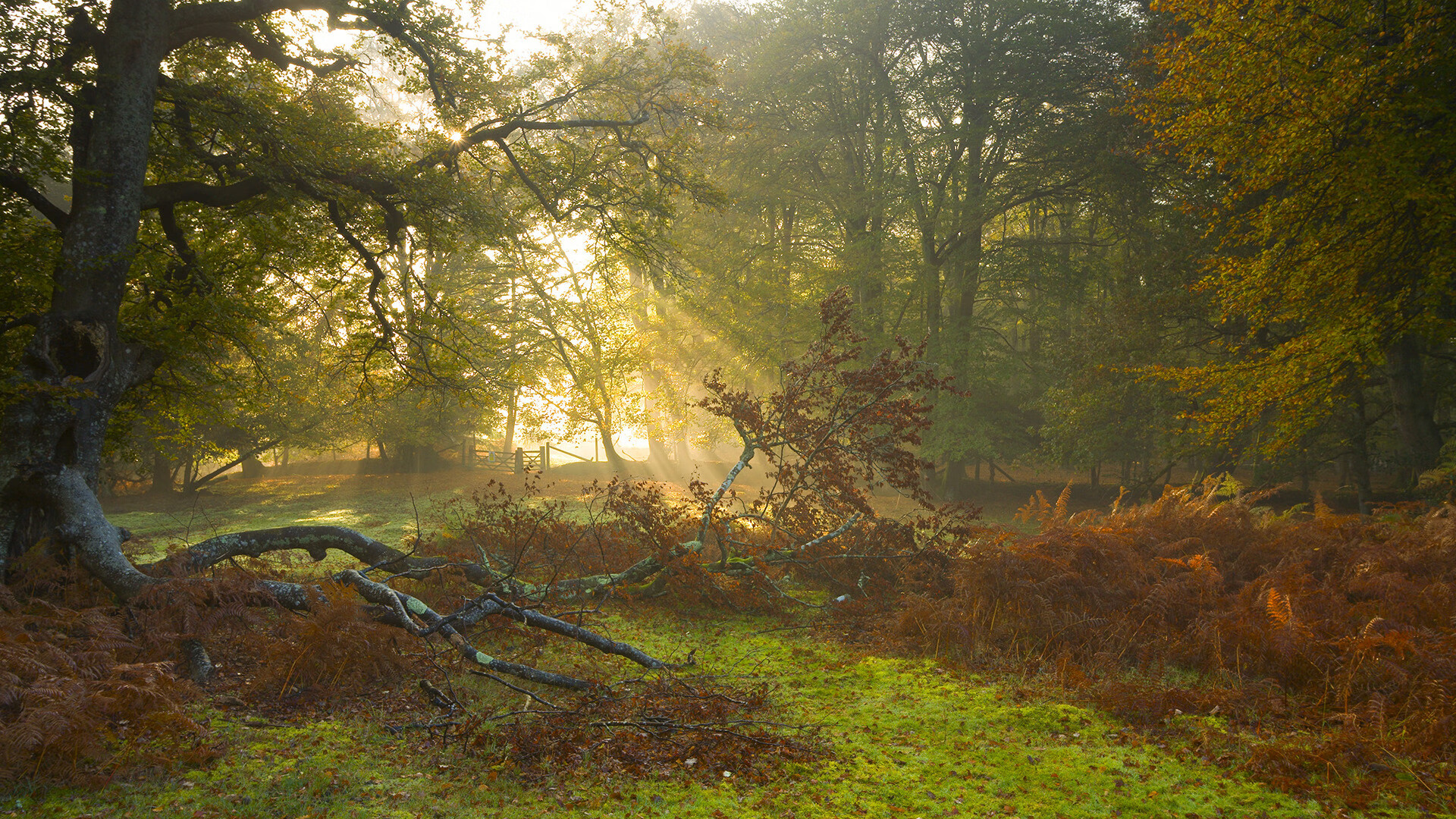 爱游戏在线登录入口-新援入队仪式简洁庄重展现俱乐部对球员的高度期待与信任，新队员入队仪式主持词最新