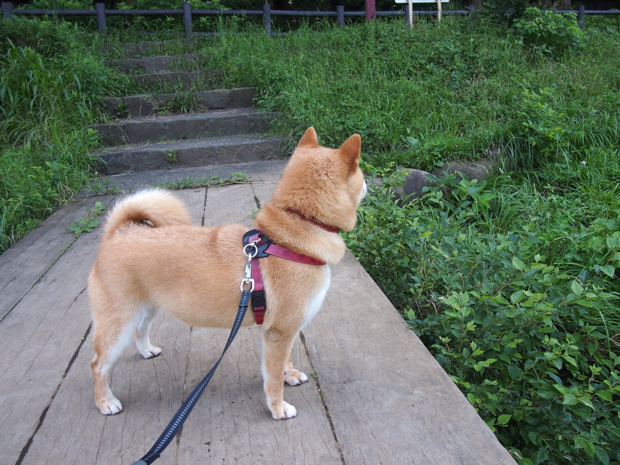 精英选拔机制更加透明,选聘精英5步法