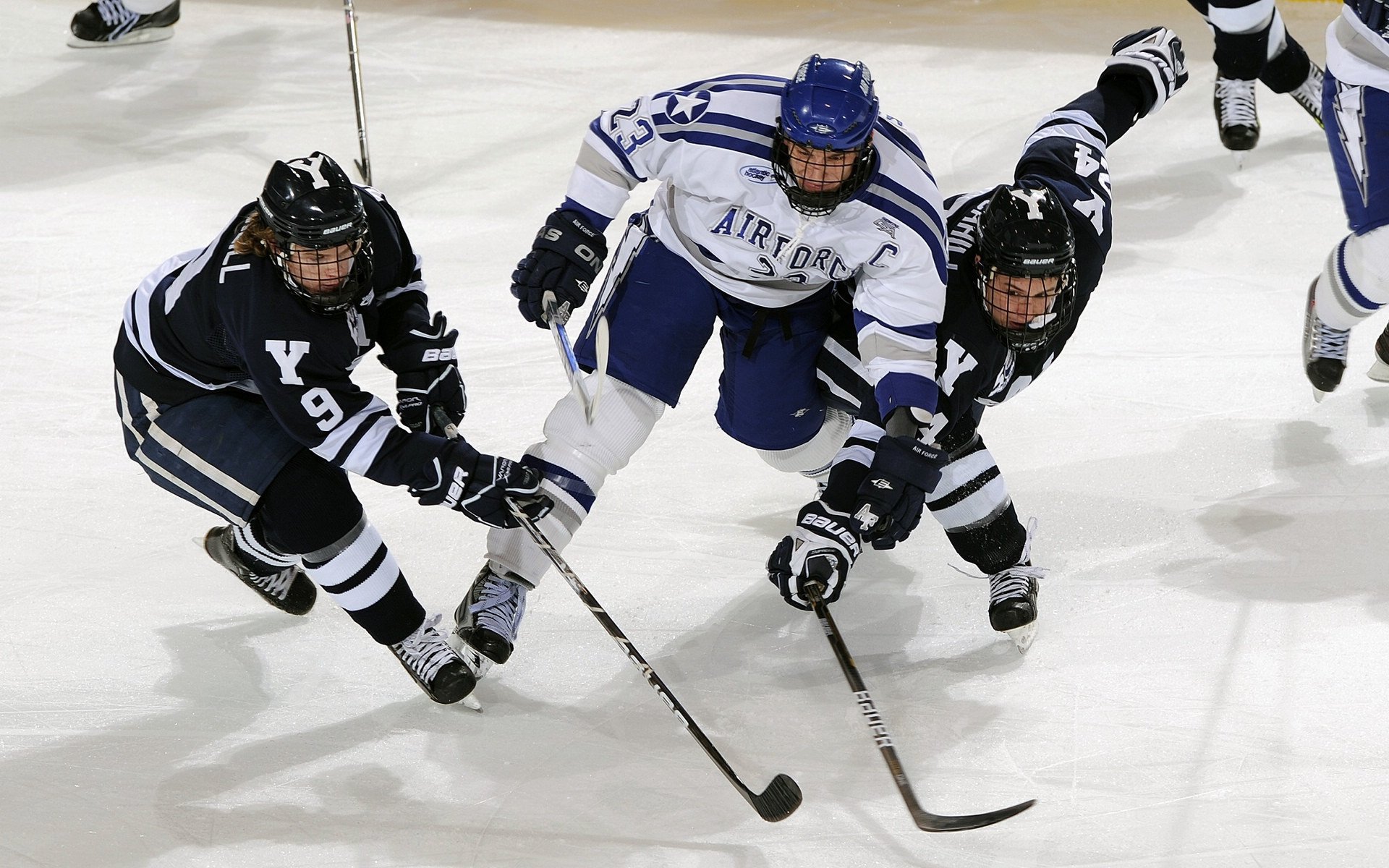 _环保能源冲浪：绿色动力带你领略海浪之美_，冲浪有保护措施吗